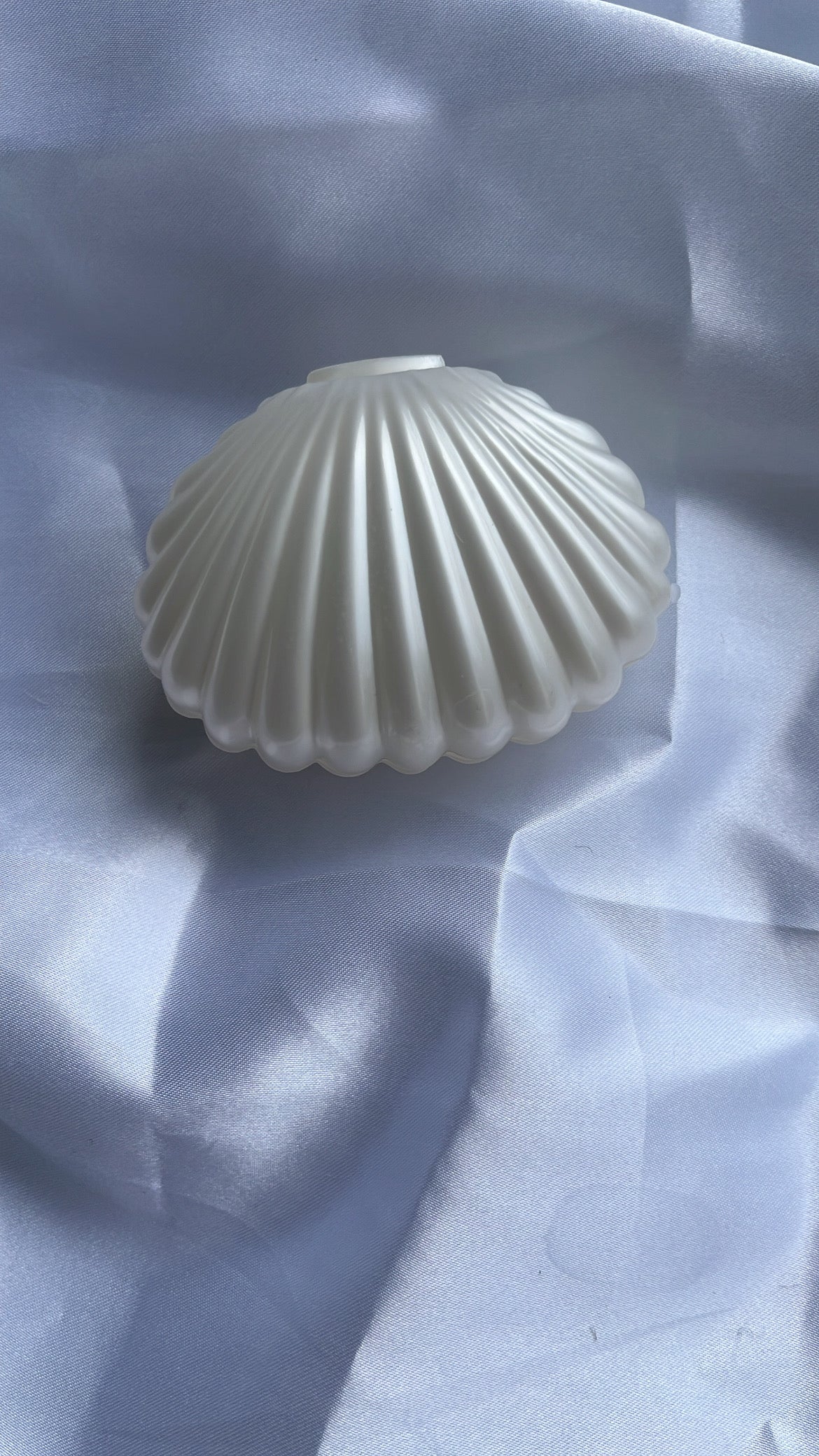 Lot de 100 coquillage décoratif